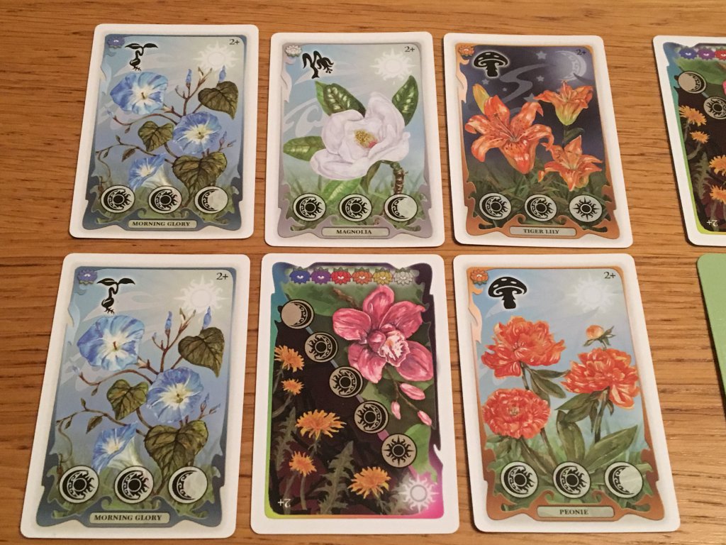 Dance of the Fireflies Collection