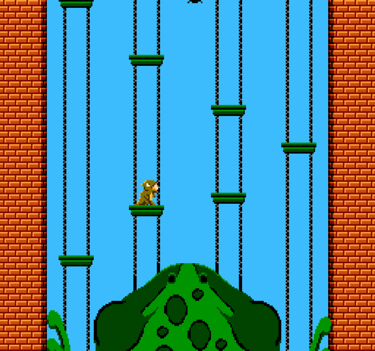 Run, little lizard, run!